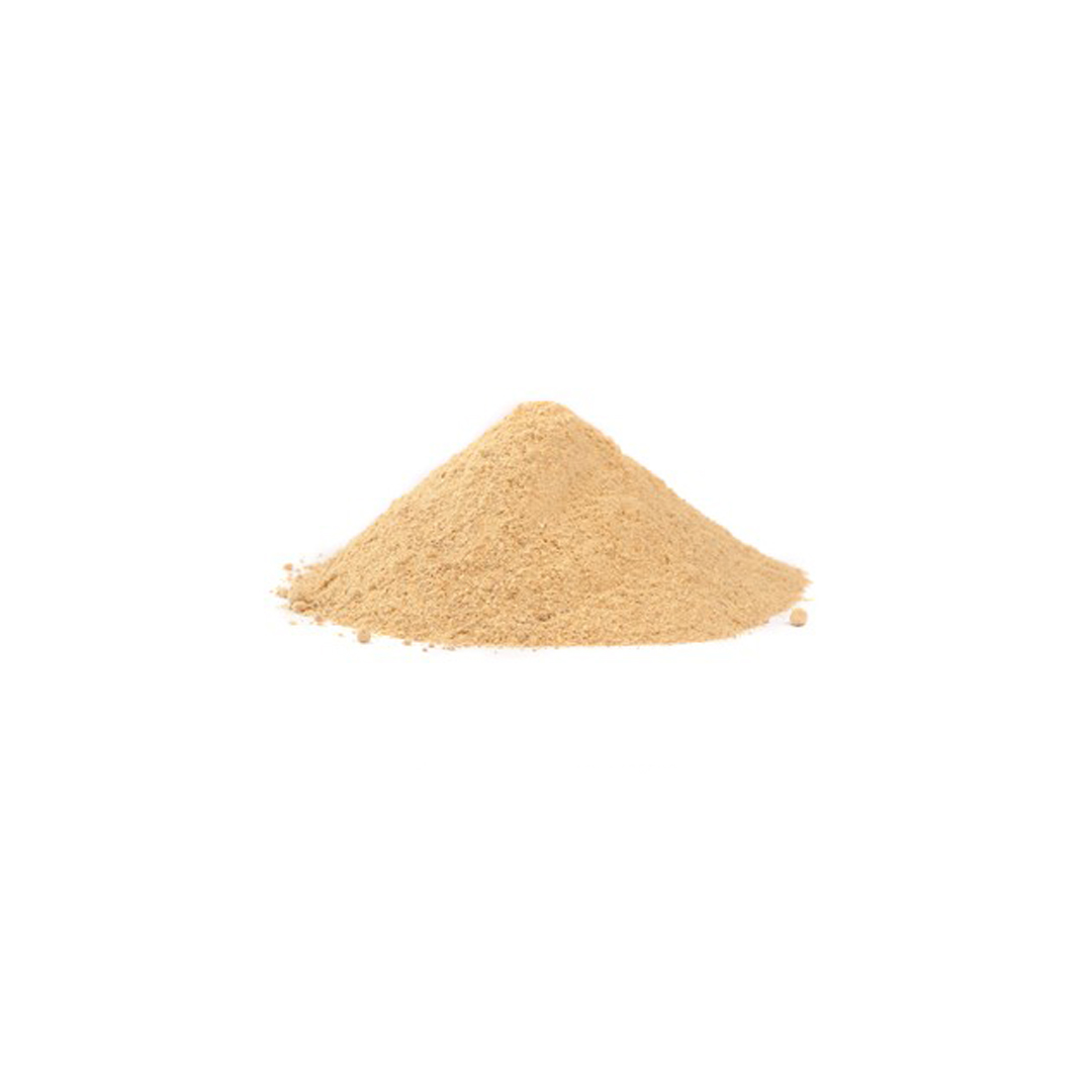 Everest Powder Dry Mango (100 gm)