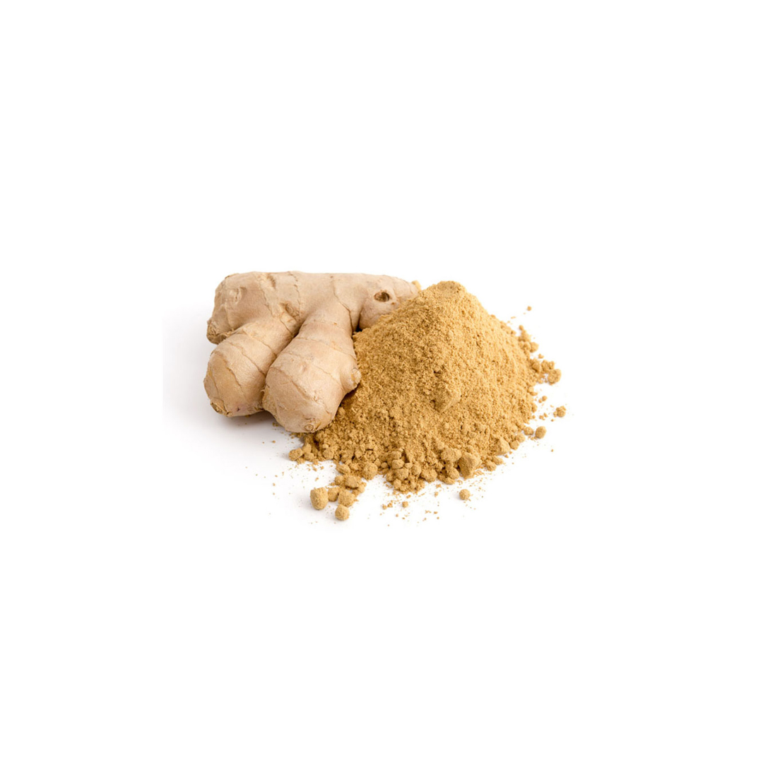 Everest Dry Ginger Powder (100 gm)